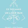 Copertă produs Pachet Daniel Goleman - gallery small 