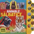 Copertă produs 10 sunete - Animale sălbatice - gallery small 