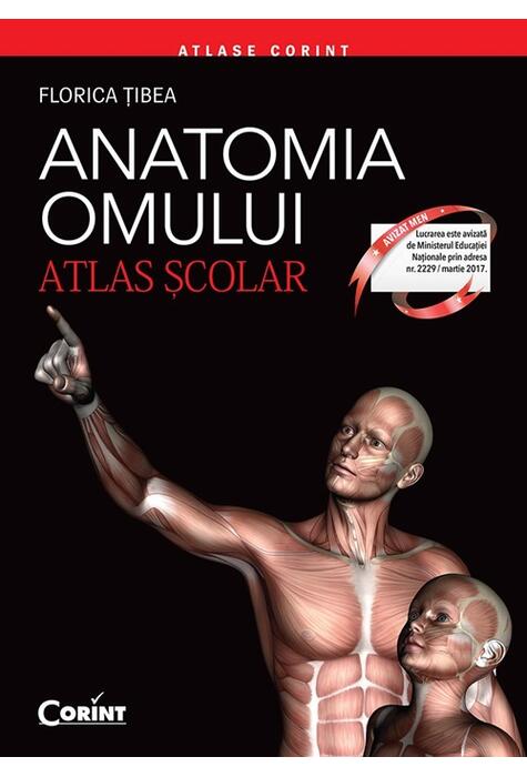 Copertă produs Anatomia omului. Atlas şcolar