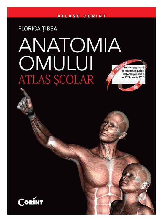 Copertă produs Anatomia omului. Atlas şcolar - gallery big 1