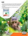 Copertă produs Biologie. Caietul elevului pentru clasa a VI-a - thumb 2