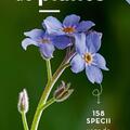 Copertă produs Mic determinator de plante - gallery small 