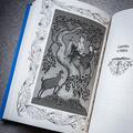 Copertă produs Beatryce și profeția - gallery small 