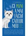 Copertă produs Ce pozne-a mai făcut cățelul meu - thumb 1