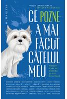 Ce pozne-a mai făcut cățelul meu
