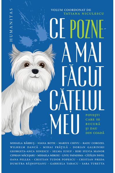 Ce pozne-a mai făcut cățelul meu