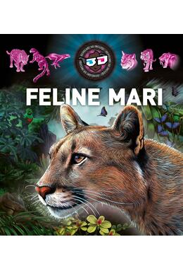 Copertă produs Feline mari 3D