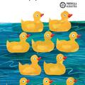 Copertă produs Pachet Autor Eric Carle - gallery small 
