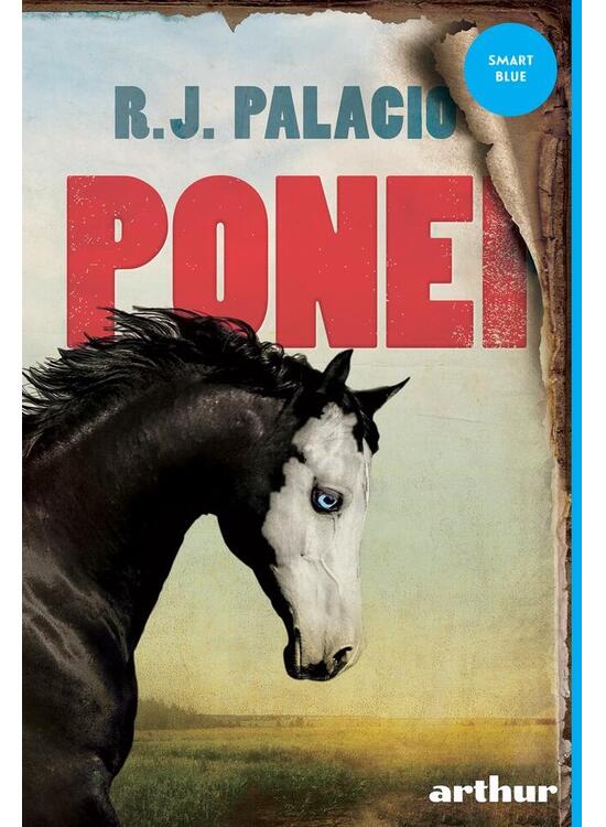 Copertă produs Pachet Autor R.J. Palacio - gallery big 3