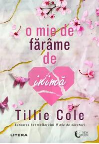 Copertă produs O mie de fărâme de inimă