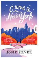 O iarnă la New York