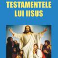 Copertă produs Testamentele lui Iisus - gallery small 