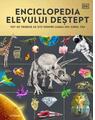 Copertă produs Enciclopedia elevului deștept - thumb 1