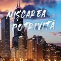 Copertă produs Mișcarea potrivită - gallery small 