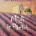 Copertă produs Midi &icirc;n flăcări. Căpitanul Roger Blanc &icirc;n Provence - gallery small 