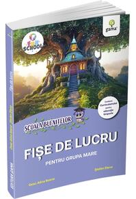 Copertă produs Fișe de lucru pentru grupa mare