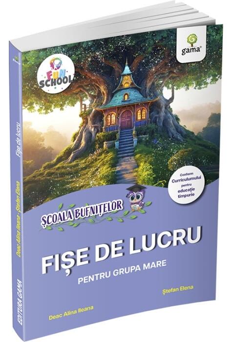Copertă produs Fișe de lucru pentru grupa mare