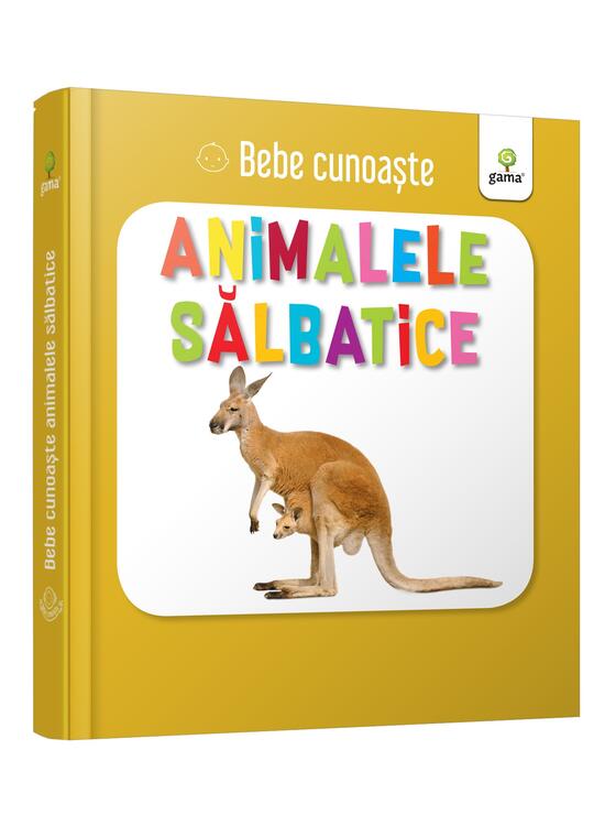 Copertă produs Pachet Bebe cunoaște - gallery big 2