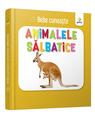 Copertă produs Pachet Bebe cunoaște - thumb 2