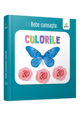 Copertă produs Pachet Bebe cunoaște