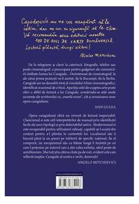 Copertă produs Nuvele și schițe