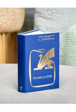 Copertă produs Nuvele și schițe