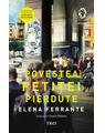 Copertă produs Povestea fetiței pierdute (Vol. 4) - thumb 1