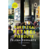 Copertă produs Povestea fetiței pierdute (Vol. 4)