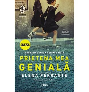 Prietena mea genială
