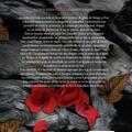 Copertă produs Un suflet de s&acirc;nge și cenușă (Vol. 5) - gallery small 