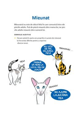 Copertă produs Limbajul pisicilor