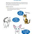 Copertă produs Limbajul pisicilor - gallery small 