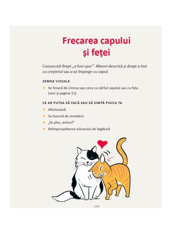 Copertă produs Limbajul pisicilor - gallery big 6