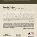 Copertă produs Castelul Pelișor - gallery small 