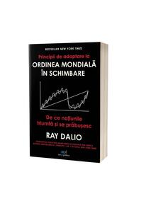 Copertă produs Principii de adaptare la ordinea mondială în schimbare