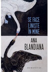 Copertă produs Se face liniște în mine