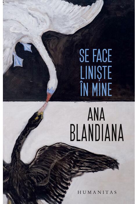 Copertă produs Se face liniște &icirc;n mine