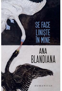 Copertă produs Se face liniște &icirc;n mine