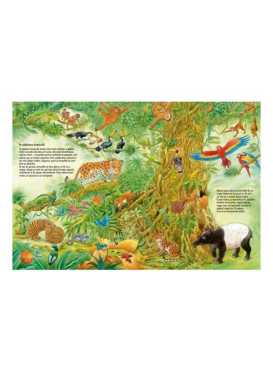 Copertă produs Lumea fascinantă a animalelor - gallery big 4