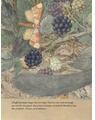 Copertă produs Trezirea, Somnorilă! A venit Moș Nicolae - thumb 2