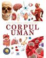 Copertă produs Enciclopedia cunoașterii. Corpul uman - thumb 1