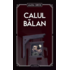 Copertă produs Calul bălan (Vol. 25)