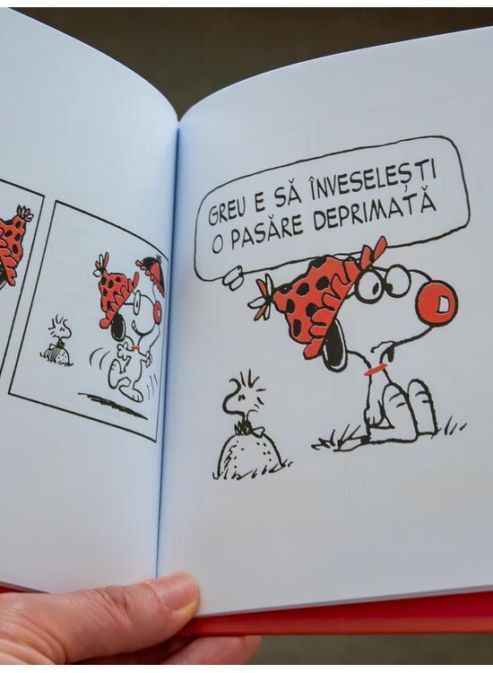 Copertă produs Filozofia lui Snoopy - gallery big 4