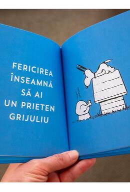 Copertă produs Ghidul Peanuts pentru prietenie
