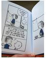 Copertă produs Viața prin ochii lui Linus - thumb 5