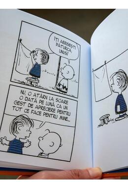 Copertă produs Viața prin ochii lui Linus