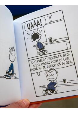 Copertă produs Viața prin ochii lui Linus