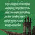 Copertă produs Istoria povestită copiilor. Decebal și un solomonar misterios (Vol. 1) - gallery small 