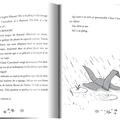 Copertă produs Viața furtunoasă a lui Scarlett Fife (Vol. 3) - gallery small 