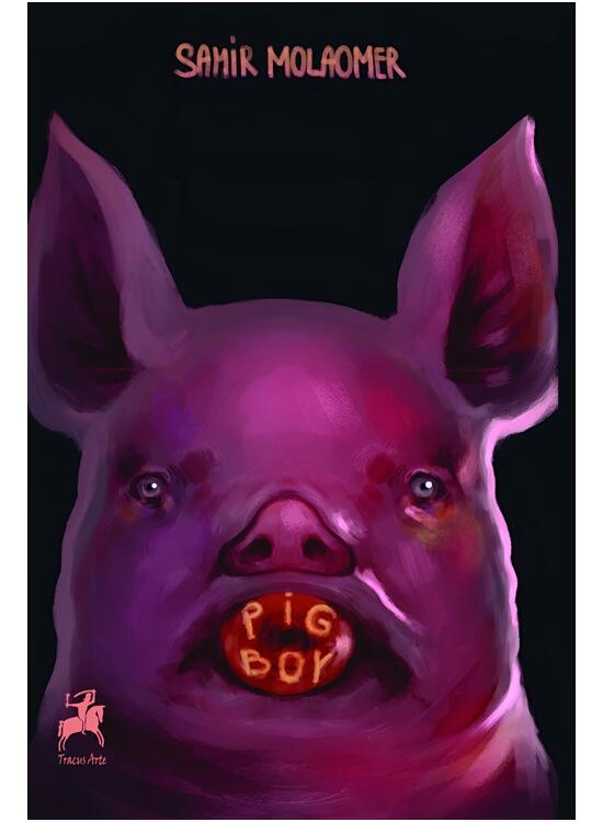 Copertă produs Pig Boy - gallery big 1